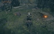 Find the turtles in the area. (Image via FromSoftware)